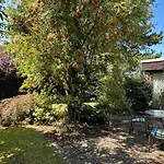 Sonniger Architektenbungalow 128 Qm * 브라운슈바이크