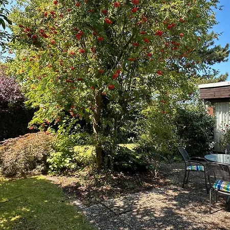 Sonniger Architektenbungalow 128 Qm * Brunswick