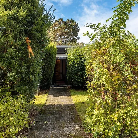 Sonniger Architektenbungalow 128 Qm Hébergement de vacances *