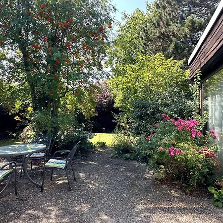 Sonniger Architektenbungalow 128 Qm Braunschweig